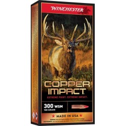 WINCHESTER COPPER IMPACT 300
